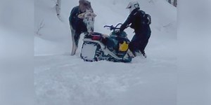 Moose charges snowmobile in eastern Idaho
