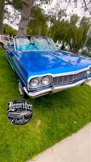 Sunday Funday at El Dorado Park#lowrider#westside#oldschool#funk#oldies#shortsfeed#chevy#classiccars