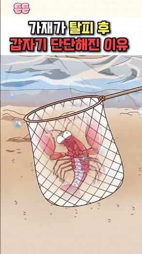 껍질 벗은 가재가 갑자기 단단해진 이유 ㄷㄷ #만화 #애니 #툰 #새우가재