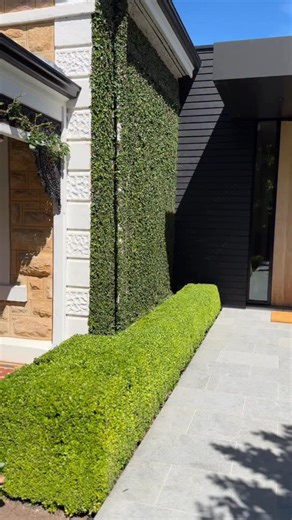 3.2K views · 1.3K reactions | From day 1 we’ve nursed this garden to perfection. #horticulture #mastergardener #gardening #garden #plant #tree #inspiration #gardeninspiration #horticulturist #garten #joyeuxjardin #gardendesign #design #passion #nature #adelaide #landscapedesign #gardencare #jardin | Prestigious Gardens | Facebook