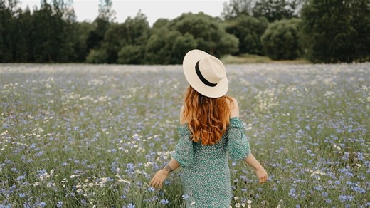 5642529-hd_1920_1080_25fps