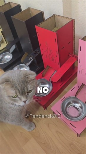 Este Sistema de Comida No Convenció al Gato 🐱😅