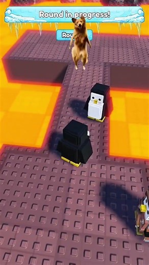 Toxic player in knockout got destroyed! #roblox