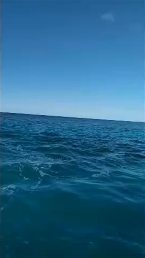 Kids Club ocean play day. Speed boat exploring. Dolphin spotting. Making lifetime island friends in the freedom of the moment. No devices. No scrolling. The communication and the connection is real. Certainly beats your average school excursion. Exhilaration in their eyes from morning until nightfall until a welcome exhaustion calms them to sleep. More than sandcastles in the sun. This is the #VOMOlife - for kids. #fiji #familyholidays #oceanplay #dolphins #adventuretravel | VOMO Island Fiji