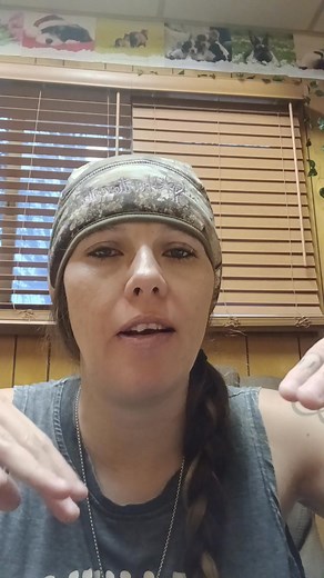 Fun Facts With WTB: How Big A Woodhouse Toad Gets (Next Subject Voting) #Woodhouse #animal #amphibian #toad #woodhousetoad #wtbpythonsplus #wtbpythons #wtb #whattheballs #funfacts #funfactswithwtb #amandaschell #america #northamerica #nebraska #usa #pet #Sonia #Grute #Pickles #mammal #reptile #insectivore #hedgehog #lizard #gecko #crestedgecko #gator #swamppuppy #alligator #americanalligator | Amanda Schell