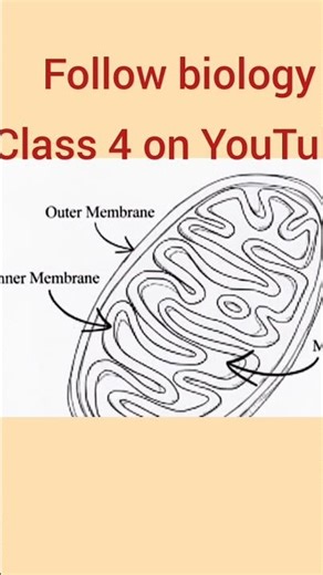 Giant Amoeba | Largest Amoeba in the World | Structure, Movement & Facts#biology #amoeba