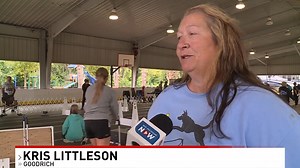 Mighty Mutts Flyball tournament held Vassar STORY: https://nbc25news.com/news/local/images-mighty-mutts-flyball-tournament-held-vassar-flyball-tournament-took-place-in-vassar | Mid-Michigan NOW