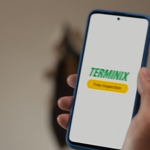 66K views · 77 reactions | Terminix on Reels | Facebook