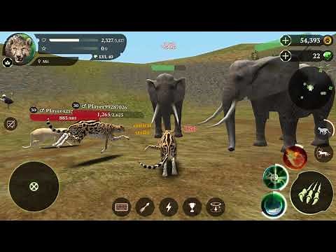 The Cheetah Online Simulator