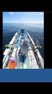 Woman solo rowing from California to Hawaii