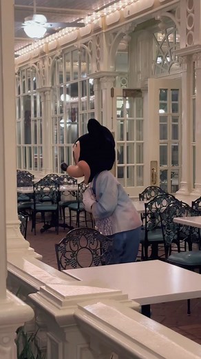 magicallyamandamarie on TikTok