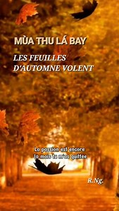 Interprétation en français de la chanson Mùa Thu Lá Bay (chanson originale étrangère : Thiên Ngôn Vạn Ngữ)basée sur les paroles écrites en vietnamien de M. Nam Lộc. | Remy Ngoc