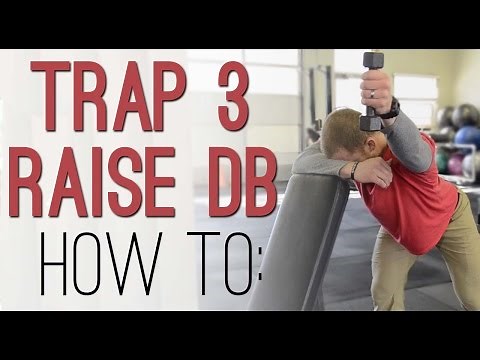 DB TRAP 3 RAISE: How to perform the Incline Dumbbell Trap Three Raise - shoulder stability exercise