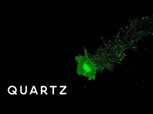 The best photos taken through a microscope