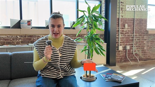 The discovered state between life and death