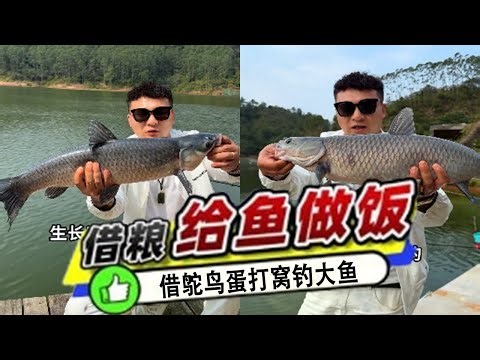 Hey sis, lend me two ostrich eggs. I'll catch a big fish and pay you back! They're so big they'll...