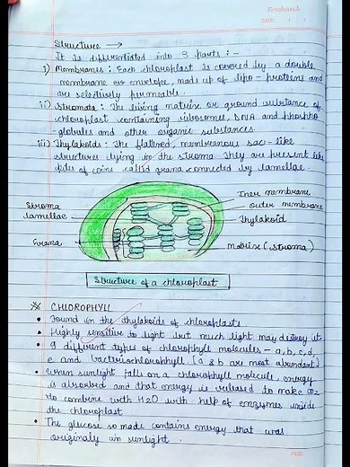 Class 10th Science Note | Chapter Life Processes | Biology | Class 10 Important Notes
