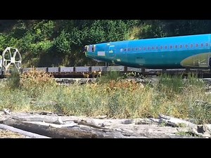 Grieving Mother Deer Over Fawn Hit By Train | WARNING: GRAPHIC IMAGES