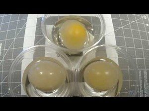 Observing Osmosis: The Incredible Egg