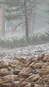 66K views · 697 reactions | ☁ Oh, the weather outside is frightful... To our friends in Southern Utah: stay safe! : Carol Cantonwine in Duck Creek, via kutv.com/chimein | KUTV 2News | Facebook