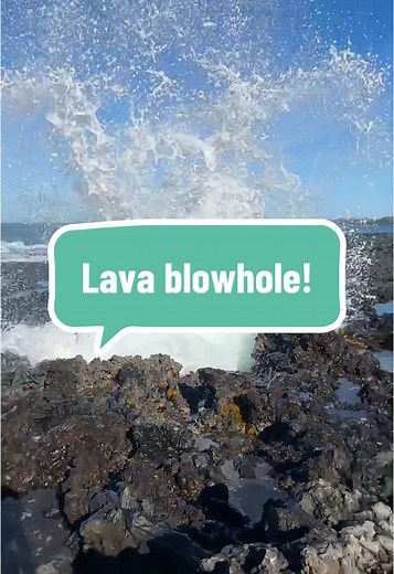 Explore the Fascinating World of Lava Blowholes and Ocean Ecosystems