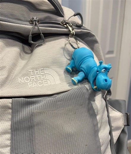 Blue Hippo Keychain - Cheerful PETG Plastic Bag Charm - Etsy