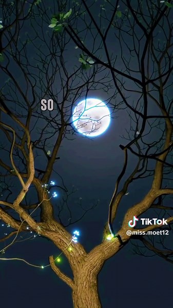 Tree at Night with Blossoms and Moonlight Wishes