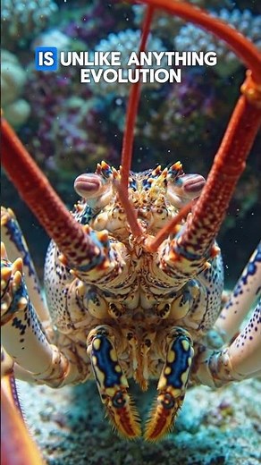 The Immortal Creature of the Ocean — Lobster #Lobster #OceanLife #MarineLife