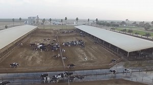 12K views · 116 reactions | A little extra focus on pedigrees and breeding better cattle can make all the difference for dairy producers. Just ask Steve Maddox, who reflects on how Registered Holsteins have helped secure his family's future in dairy. #WhyHolsteinAssociationUSA | Holstein Association USA | Facebook