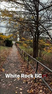 White Rock BC Vibes In 4k #vancouver #whiterockbc #canada
