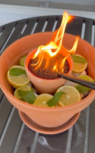 Make This for Your Backyard! (DIY Bug Repellent)