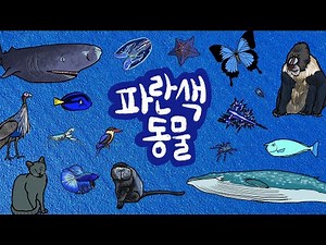 파란색 동물 | 파랑 색깔을 가지고 있는 동물은 누구일까? | 파란색 동물, 파란 동물, 푸른색의 동물들을 만나보아요 | 파란색 색깔놀이 | 파랑 동물들 | 키즈드로우