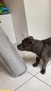 2K views · 12 reactions | Did you hear the good news?  Unveiling...