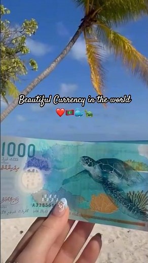 This Country Prints Ocean Life on Its Currency 😍 #maldives #rufiyaa #turtle #whalesharkwatching