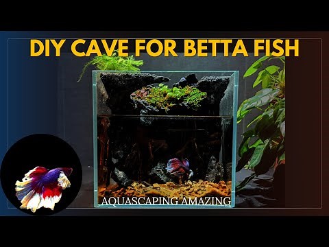 Betta Fish Tank Set Up - DIY Cave For Betta Fish | Planted Tank