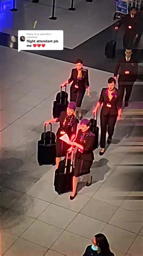 Flight Attendant Insights for Beginners