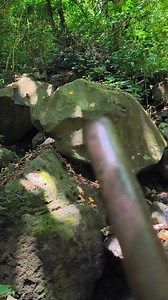 Turtle formation 😱😱 #YamashitaTreasure #adventure | Wenlies Tibi