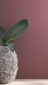 690 reactions · 101 shares | Trusted by generations, Regal® Select Interior paint is our most popular product for a reason. It delivers excellent durability with stain release technology, scuff resistance, and a smooth, beautiful finish. Visit benjaminmoore.com or your locally owned store to get started on your next project! | Benjamin Moore | Facebook