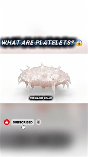 What Are Platelets? 😱 Explained in 30 Seconds #shorts #platelets
