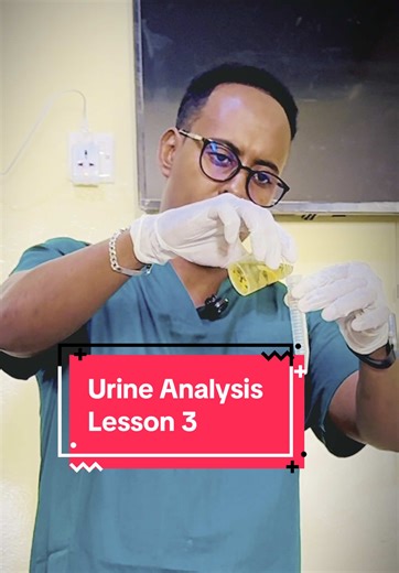 Comprehensive Urine Analysis: Lesson 3 Explained