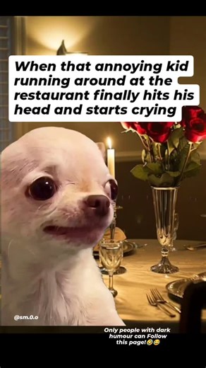 🤣 The funniest Evil Dog official Meme page Follow or you won't find it again Grab merch in my bio evildogofficial.com | EvilDog Shamsy