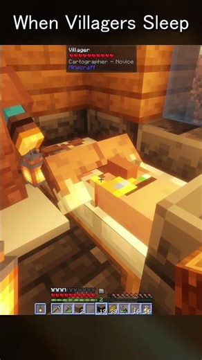 Do Villagers Snore? #minecraft #minecraftmodpack #minecraftgameplay