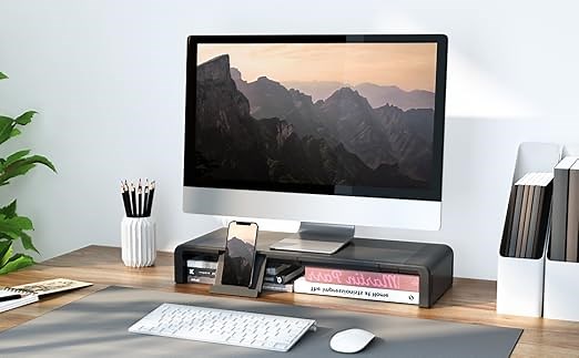 Computer Monitor Stand