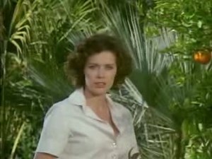 Частные уроки (1981)