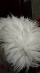 3K views · 71 reactions | Apoyemos por favor  No cuento con los...