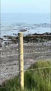 The Cliffside Fence That Defies Gravity! #shorts