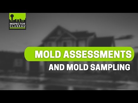 Mold Assessment and Mold Sampling