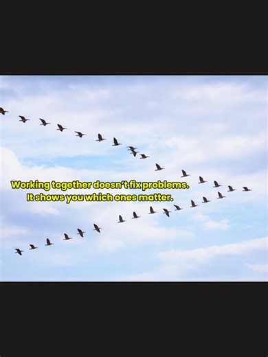 Working with other people doesn’t make things easier by default. It makes things clearer. Gaps show up faster. Misalignment becomes obvious. Weak systems get exposed. That can feel frustrating at first, especially if you expect collaboration to smooth things out. But that clarity is the value. It shows you where structure is missing and where communication needs to improve. Working together isn’t about avoiding friction. It’s about learning from it and adjusting so progress can continue. #togeth