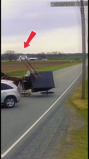 Amish Buggy Crashed #amishtiktok #amishbuilt #amish #amishcountry #amishlife | Amish Diaries