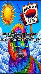 1.6K views · 13 reactions | Description: Homonym Riddles - Can you...